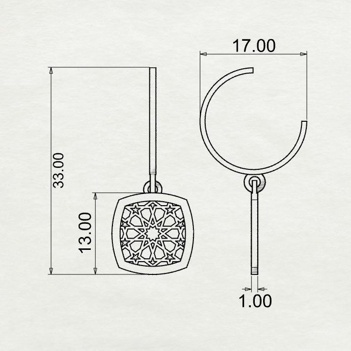 Abeer Cushion Filigree coin Hoop Danglers